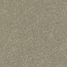 Shaw Floors Value Collections Attainable Net Grecian Tan 720T_5E094