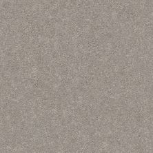 Shaw Floors Value Collections Momentum I Net Canopy 103S_5E096