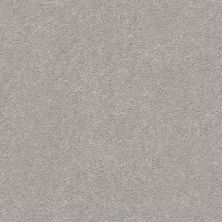 Shaw Floors Value Collections Momentum I Net Subtle Touch 500S_5E096