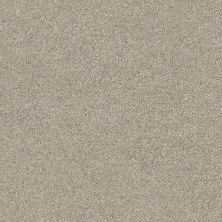 Shaw Floors Simply The Best Momentum II Net Driftwood 120T_5E097