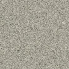 Shaw Floors Simply The Best Momentum II Net Moondance 131A_5E097