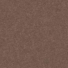 Shaw Floors Simply The Best Momentum II Net Farmhouse 701S_5E097
