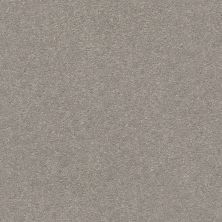 Shaw Floors Simply The Best Montage I Net Polished Stone 103S_5E098