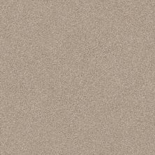 Shaw Floors Value Collections Montage I Net Chateau 121T_5E098