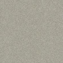 Shaw Floors Value Collections Montage I Net Morning Frost 131A_5E098