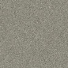 Shaw Floors Simply The Best Montage I Net Tempting Taupe 740A_5E098