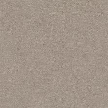 Shaw Floors Simply The Best Montage II Net Parisian Lights 102S_5E099