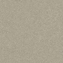 Shaw Floors Simply The Best Montage II Net Shoreline Haze 120T_5E099