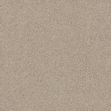 Shaw Floors Simply The Best Montage II Net Chateau 121T_5E099
