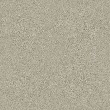 Shaw Floors Simply The Best Montage II Net Spun Wool 130A_5E099