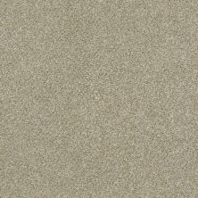 Shaw Floors Simply The Best Montage II Net Lunar Surface 140A_5E099
