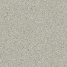 Shaw Floors Simply The Best Montage II Net River Rock 530A_5E099