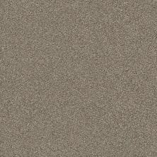 Shaw Floors Simply The Best Montage II Net Midtown Brown 720T_5E099