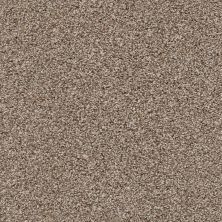 Shaw Floors Value Collections Poised Net Brown Sugar 00710_5E102