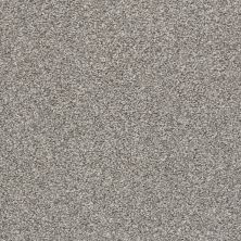 Shaw Floors Value Collections Poised Net Flannel Gray 00713_5E102