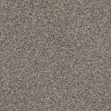 Shaw Floors Value Collections Poised Net Chic Taupe 00714_5E102