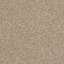 Shaw Floors Value Collections Poised Net Artisan 00720_5E102
