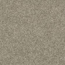 Shaw Floors Everlasting Tonal Owl 00121_5E170