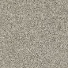 Shaw Floors Everlasting Tonal Ornamental Gate 00122_5E170