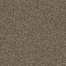 Shaw Floors Everlasting Tonal Roasted Coffee 00721_5E170