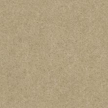 Shaw Floors Value Collections Zipp Net Del Sol