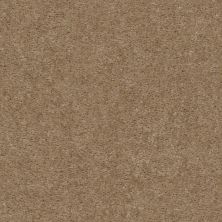 Shaw Floors Value Collections Zipp Plus Net Stucco