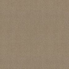 Shaw Floors Value Collections Zipp Plus Net Stone