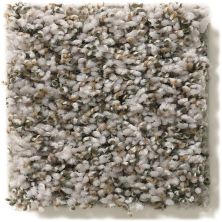 Shaw Floors Break Away (b) Sweet Taupe 5E242_00532