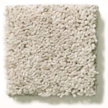 Shaw Floors Break Away (s) Winter White 5E243_00110