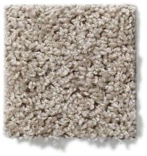 Shaw Floors Break Away (s) Soft Taupe 5E243_00501