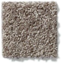 Shaw Floors Break Away (s) Charcoal 5E243_00502