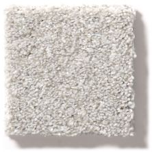 Shaw Floors Simply The Best Make It Mine II Soft Fleece 5E256_00120