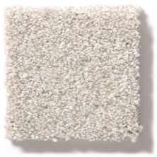 Shaw Floors Simply The Best Make It Mine II Desert Light 5E256_00121