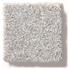 Shaw Floors Simply The Best Make It Mine II Clay 5E256_00122