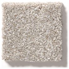 Shaw Floors Simply The Best Make It Mine II Winter Dunes 5E256_00123