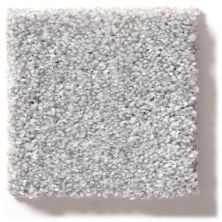 Shaw Floors Simply The Best Make It Mine II Sterling 5E256_00520