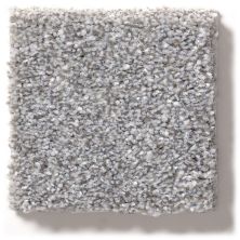 Shaw Floors Simply The Best Make It Mine II Arctic Shadow 5E256_00521