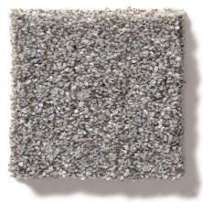 Shaw Floors Simply The Best Make It Mine II Cedar Ridge 5E256_00721