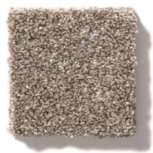 Shaw Floors Simply The Best Make It Mine II Fox Hollow 5E256_00722