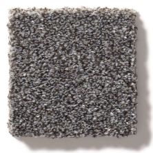 Shaw Floors Simply The Best Make It Mine II Mocha 5E256_00723