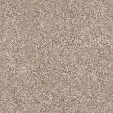 Shaw Floors After It I TEXTURE Neutral Ground IS-00101_5E257