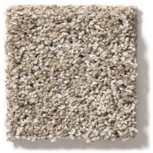 Shaw Floors Simply The Best After It II Neutral Ground 5E258_00101