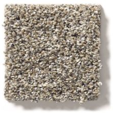 Shaw Floors Simply The Best After It II Pebble Walk 5E258_00102