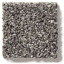 Shaw Floors Simply The Best After It II Anchor 5E258_00501