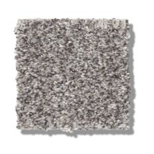 Shaw Floors Simply The Best Within Reach II Serene Still 5E260_00101