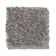 Shaw Floors Simply The Best Within Reach II Shoreline 5E260_00106