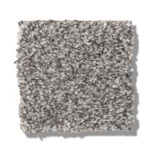 Shaw Floors Simply The Best Within Reach II Grey Fox 5E260_00504
