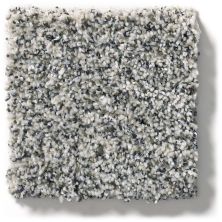 Shaw Floors Simply The Best Within Reach III Serene Still 5E261_00101
