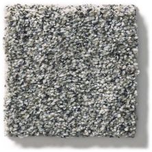 Shaw Floors Simply The Best Within Reach III Shoreline 5E261_00106