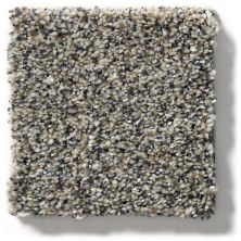 Shaw Floors Simply The Best Within Reach III Kidskin 5E261_00109